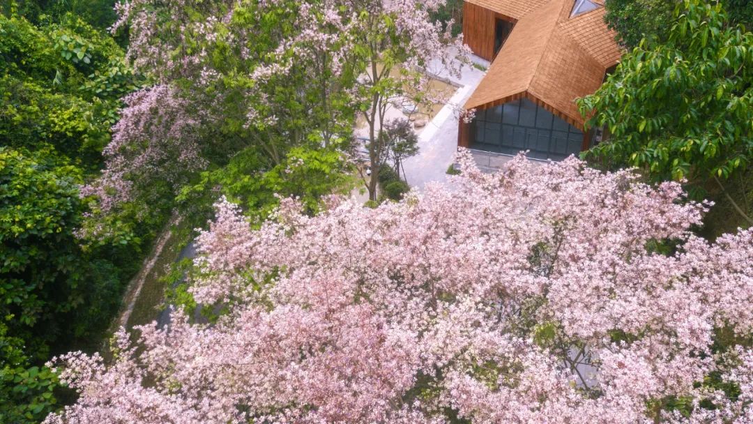 南宁市旅游产业规划,南宁市兴宁区全域开发