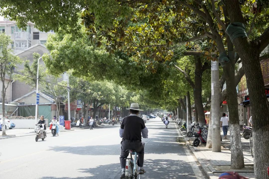 从a到z的英语歌,从a到z女声版