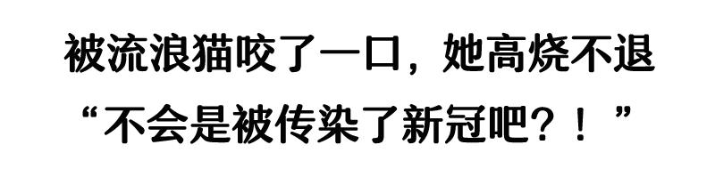 被流浪猫咬到没什么大事吧,不小心被猫咬了一口要打针么