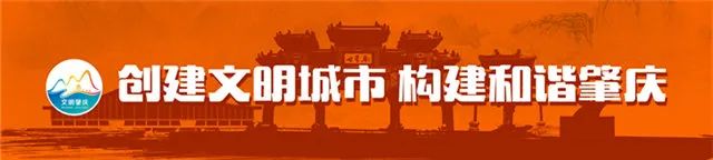 “雅居乐杯”2020年肇庆市足球联赛开赛