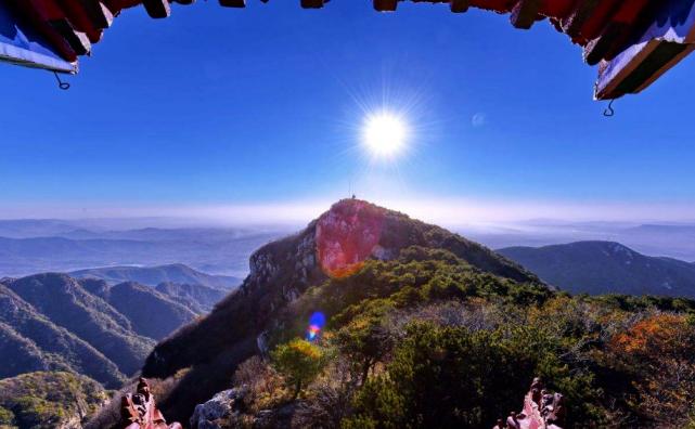 河南本土地产和一线房企选谁,河南房企销售额排行榜