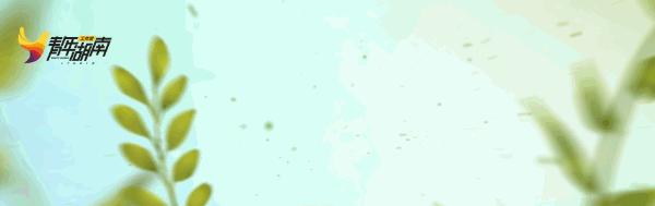 43身份证开头是哪个地方的,43开头的身份证是哪里的人物