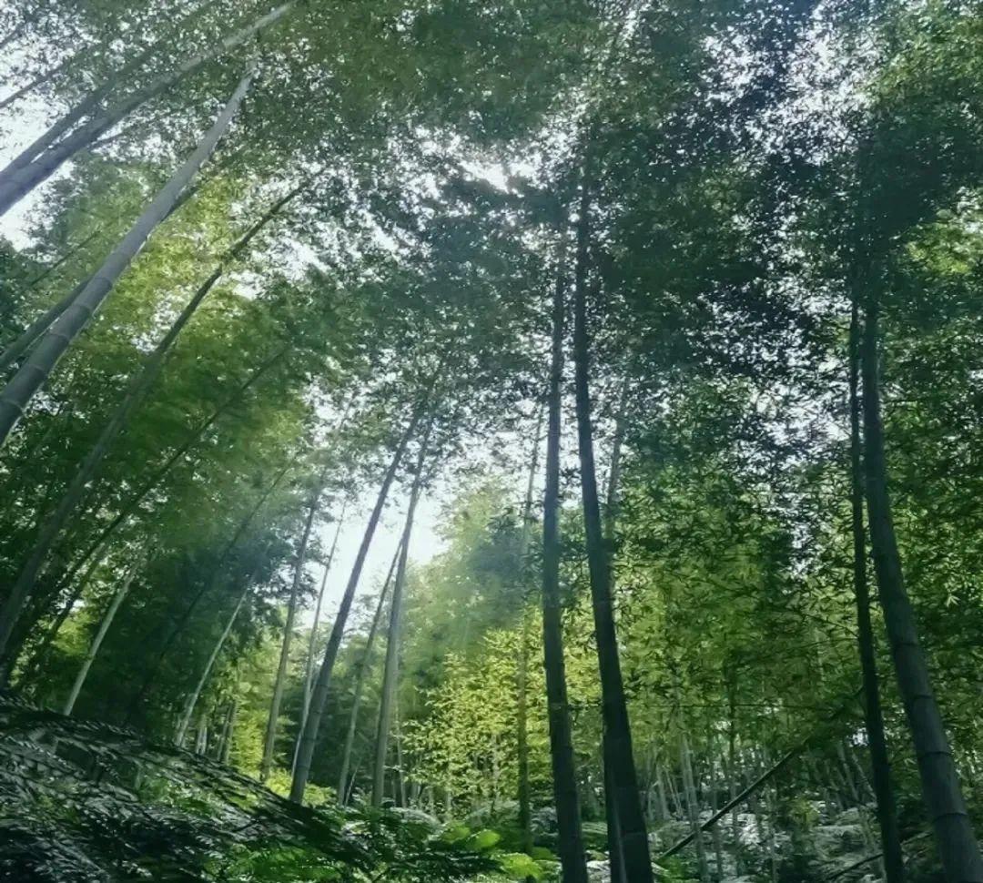 竹山旅游线路大全,竹山周边一日游旅游景点推荐