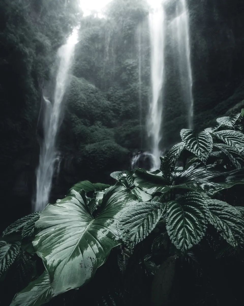 全世界最绿的50张照片