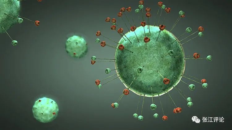 不抑制只结合就可以降低HIV感染的多肽，你有想过吗？