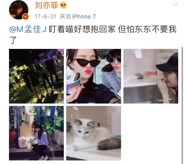 出道即巅峰，拿奖拿到手软，业务没得挑歌红人不红的她还能翻身吗