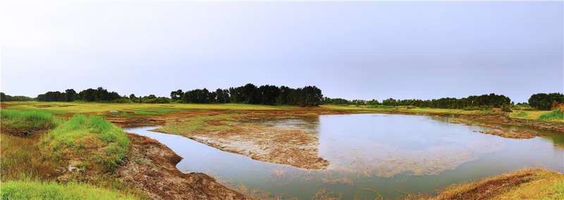 *疆新**轮台县生态搬迁：塔河沿岸绿了新居村民富了