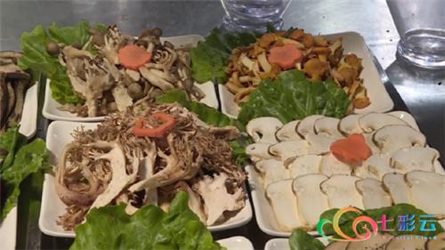 云南楚雄野生菌中毒,楚雄州野生菌中毒