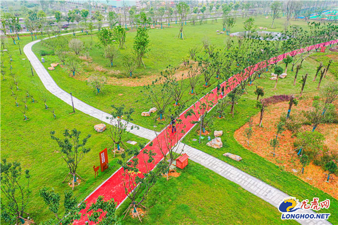 以绿护绿绘画,以绿为笔勾勒生态宜居新画卷