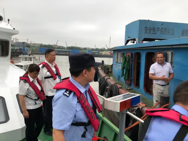 南通发现流浪狗应该找哪个部门,鹿城滨江开展流浪犬整治行动