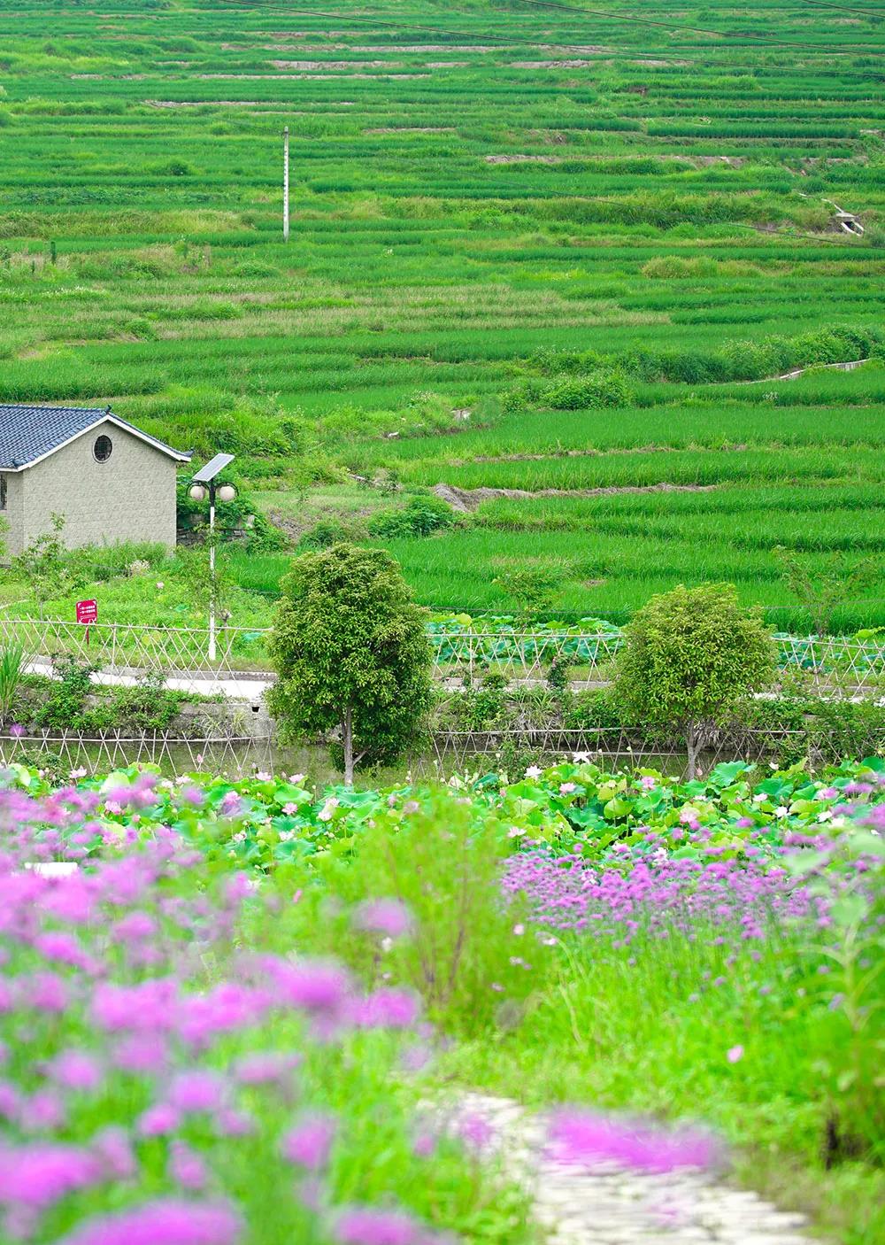 避暑旅游广西攻略路线,南丹白裤瑶民俗风情园门票预订