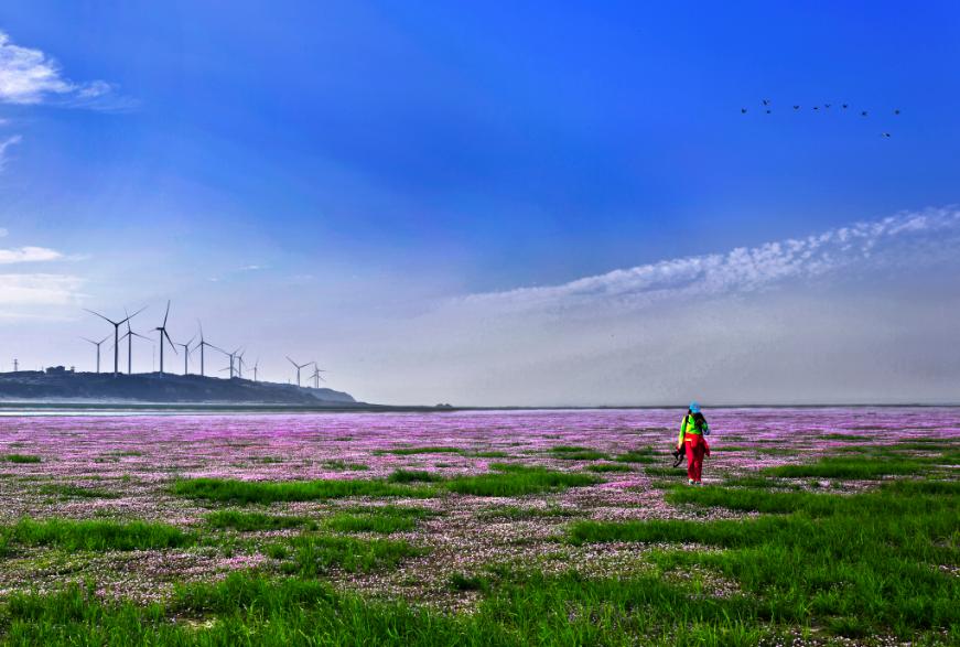 江西日报头版头条,江西日报报道共青