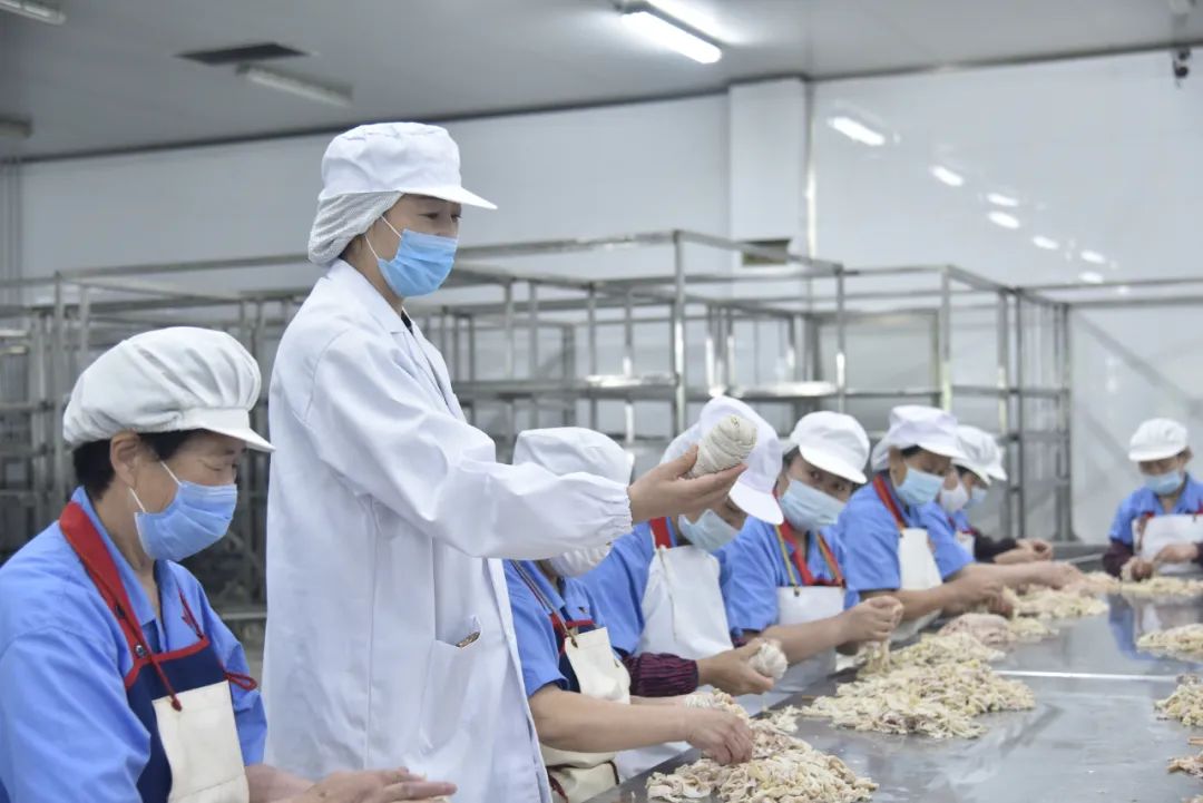 致敬她力量观后感,致敬她的力量