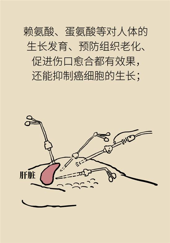 哪六种人不宜吃海参,海参的吃法大忌