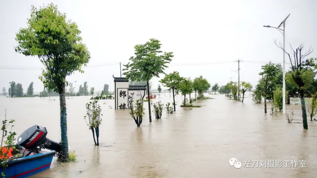 【图说】蓄洪后的庄台平静的生活