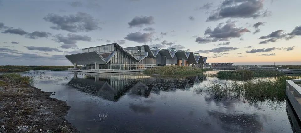 探索崇明东滩湿地公园的奥秘,崇明东滩湿地科研中心