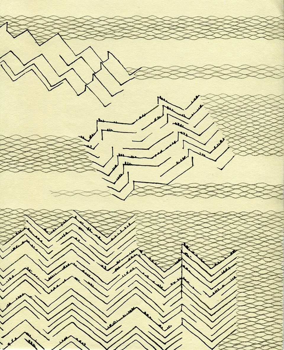 探索崇明东滩湿地公园的奥秘,崇明东滩湿地科研中心