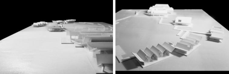 探索崇明东滩湿地公园的奥秘,崇明东滩湿地科研中心