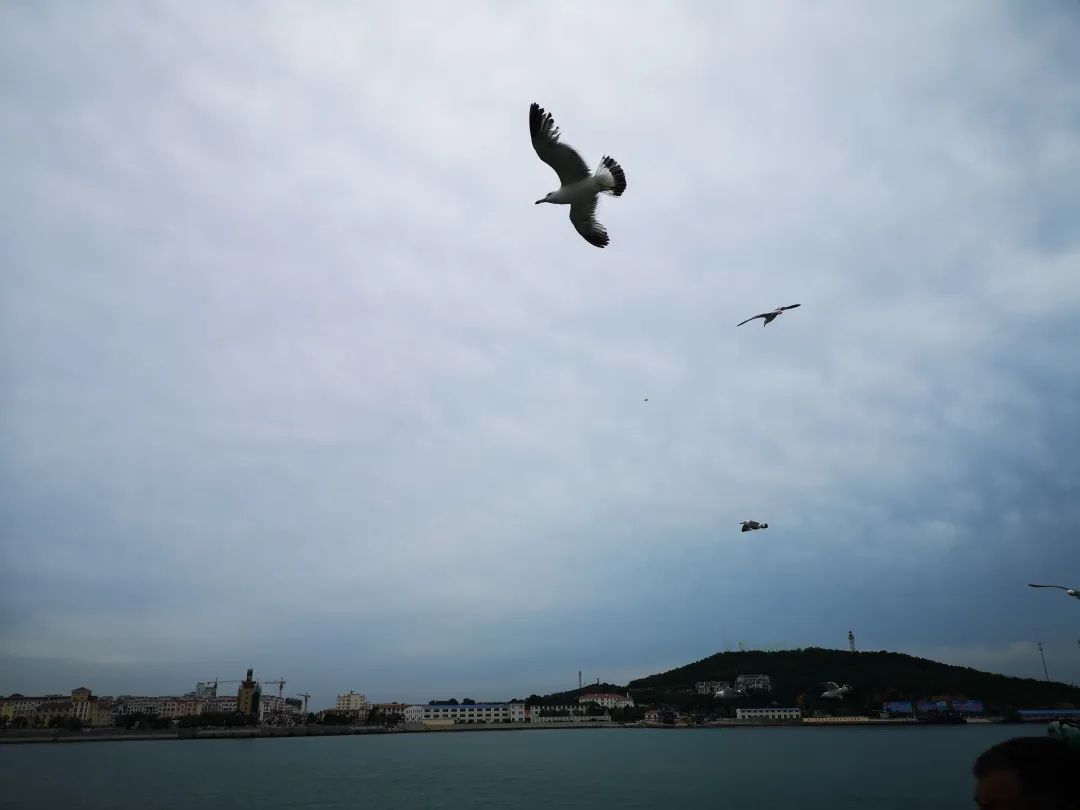 直播|云出海！海洋预报小姐姐带你踏海寻仙境