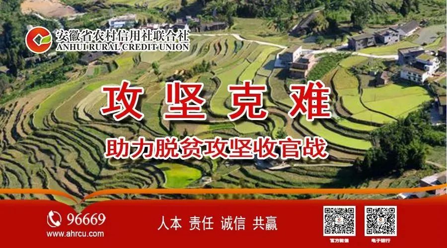 安徽农金续贷通知,安徽农金信贷年化率多少
