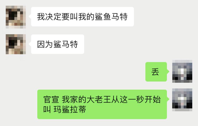 宜家大鲨鱼便宜,宜家大鲨鱼值得入手吗
