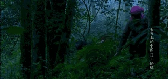 云南人在这件事上,命比谁都硬