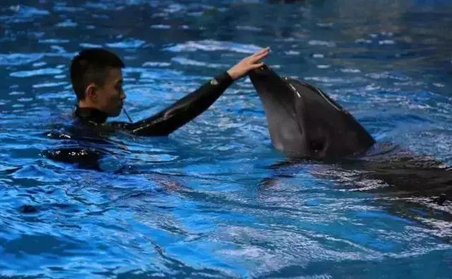 广西极地海洋馆免费吗,广西极地超大海洋馆电话