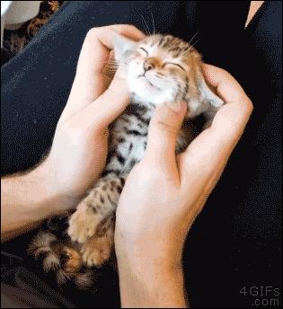 早上起床「胖三斤」，女生为什么那么容易肿啊？?