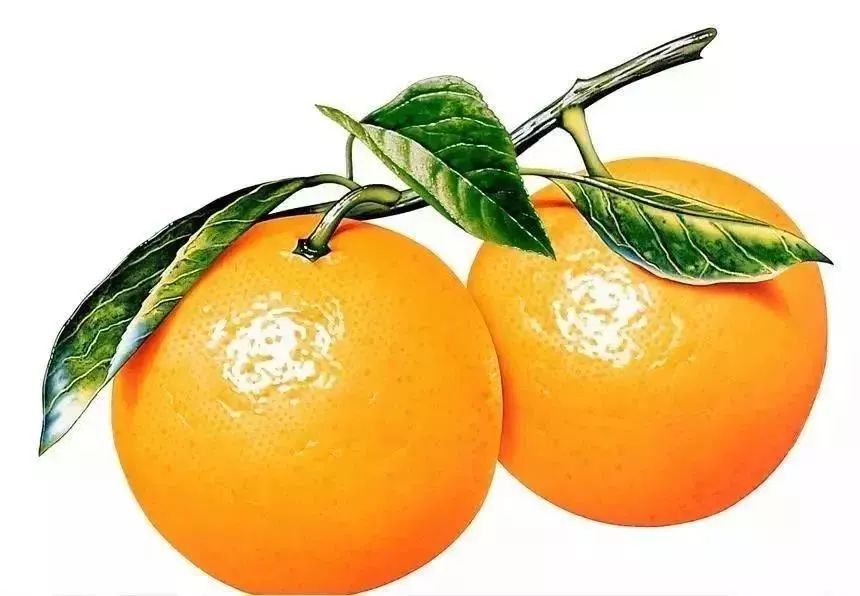 乳房按摩治病还是致病,乳房按摩致癌案例