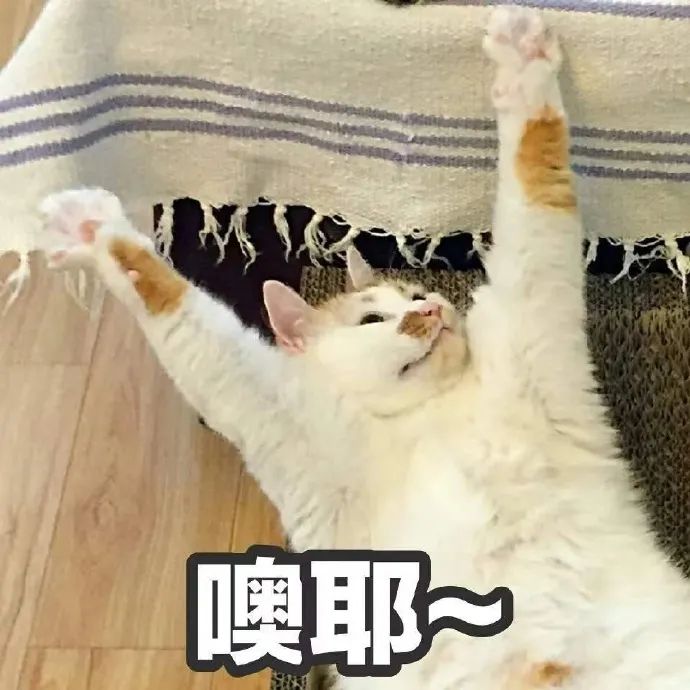 成都彭镇老茶馆,成都彭镇老茶馆打卡地点