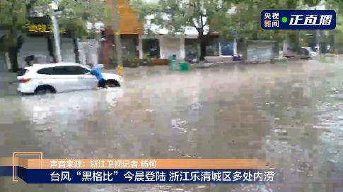 狂风巨浪，多地被淹！“黑格比”登陆了→