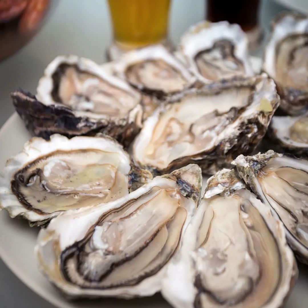 大连海鲜基地有哪些,大连盛产什么海鲜