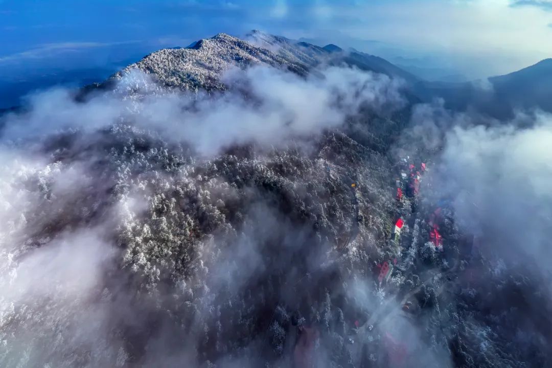 庐山真面目怎么辨别,庐山真面目近义词