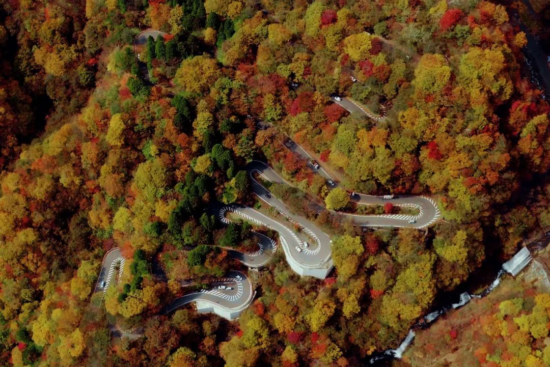 首家自带日式温泉的丽思卡尔顿开业，选址日本小众秘境，有望成为霓虹最贵RC