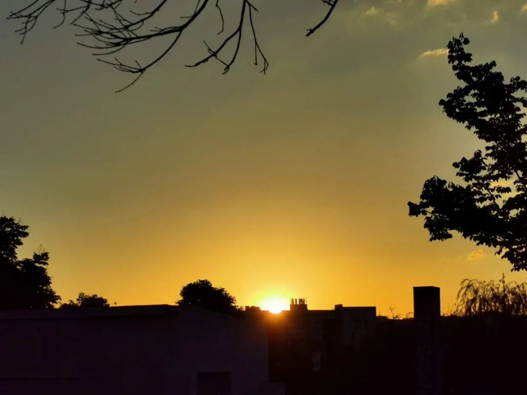 缇庡憜鑻辨枃,缇庡憜