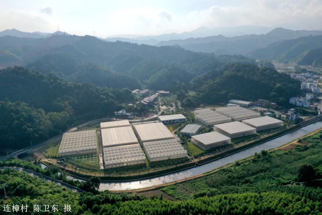 英德市连口镇连樟村,连樟村旅游景点