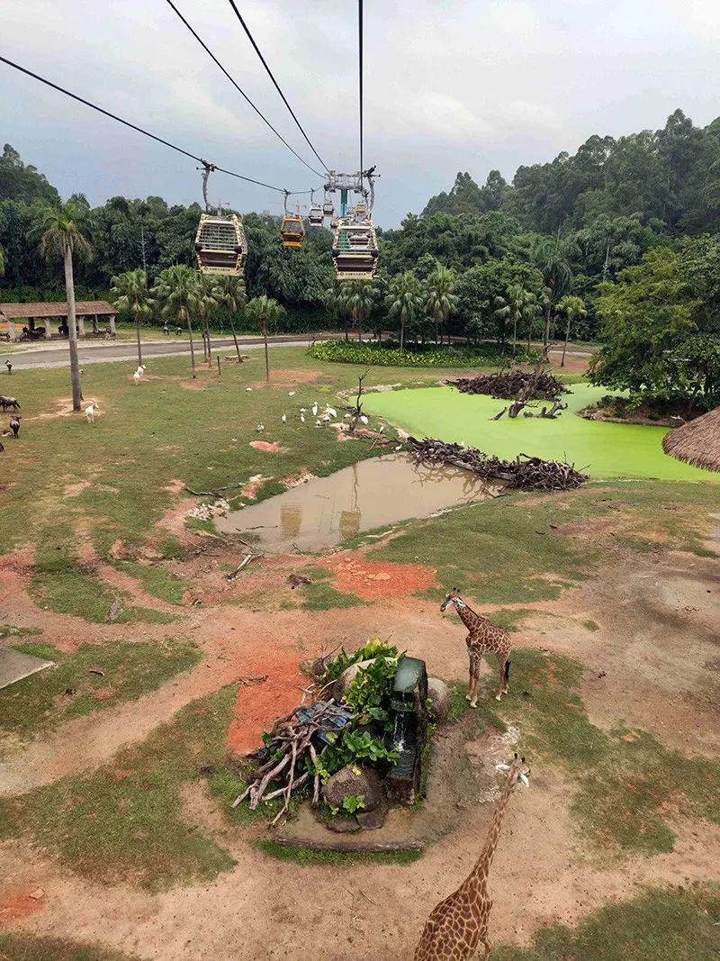 长隆乐园欢乐世界,广州长隆游玩注意事项