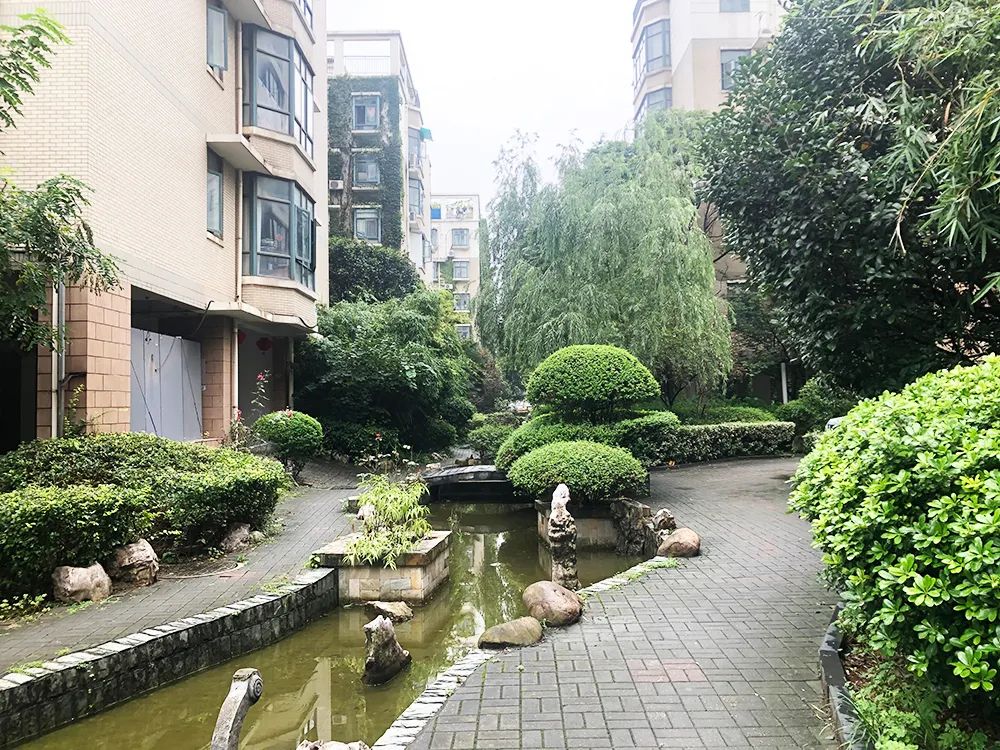 鼓楼第二梯队小学,鼓楼区二梯队小学