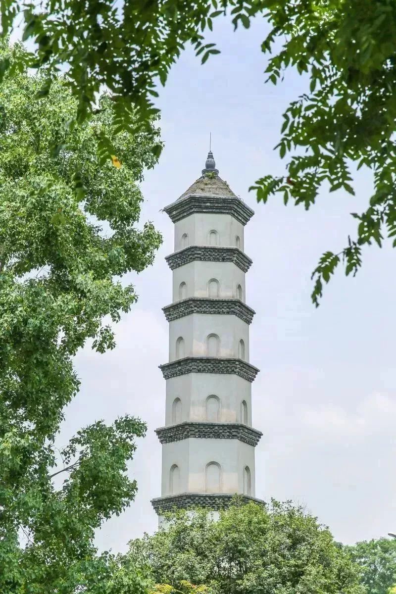 成都景点60岁以上免费门票,成都免费游玩景点推荐