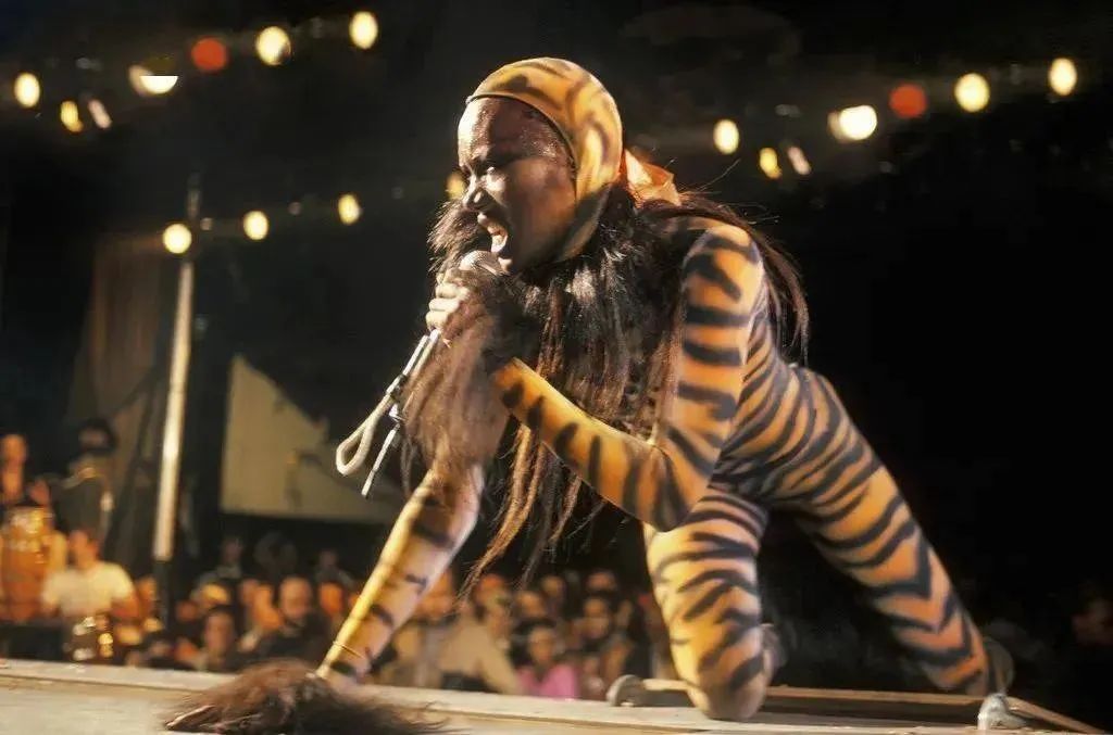 气质出众身材一流的超模时尚大片,超模angelalindvall走秀集锦