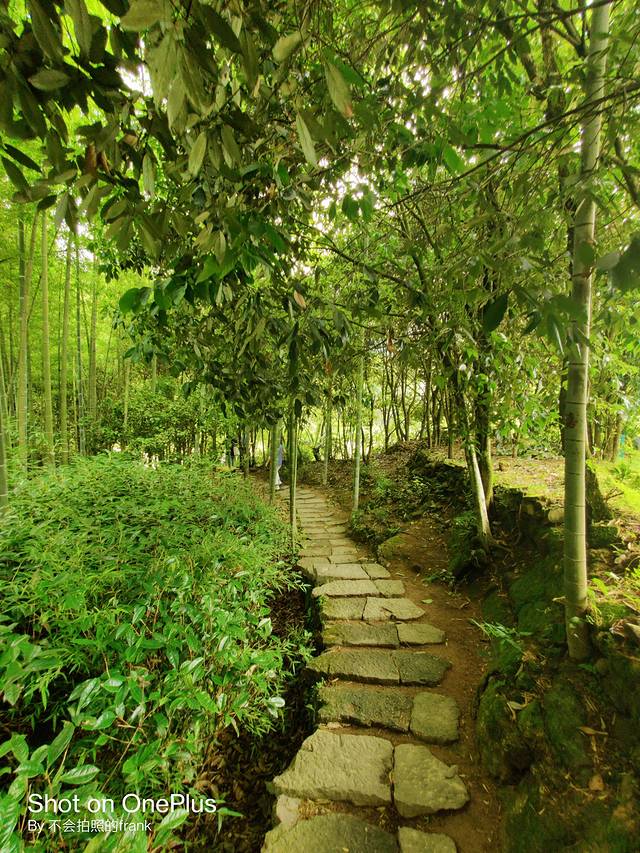 武夷山景区2020,中国最美的武夷山