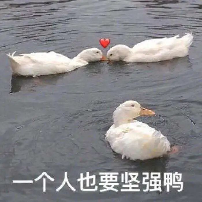 OO疼真的不！能！忍！