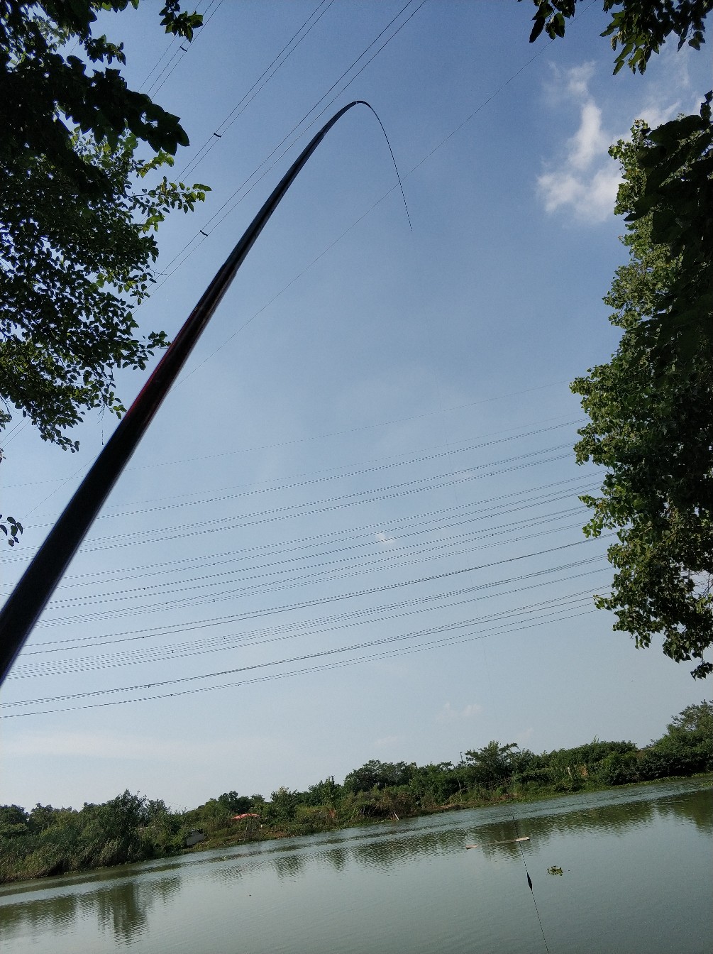 钓鱼人818完整视频,钓鱼人818攻略