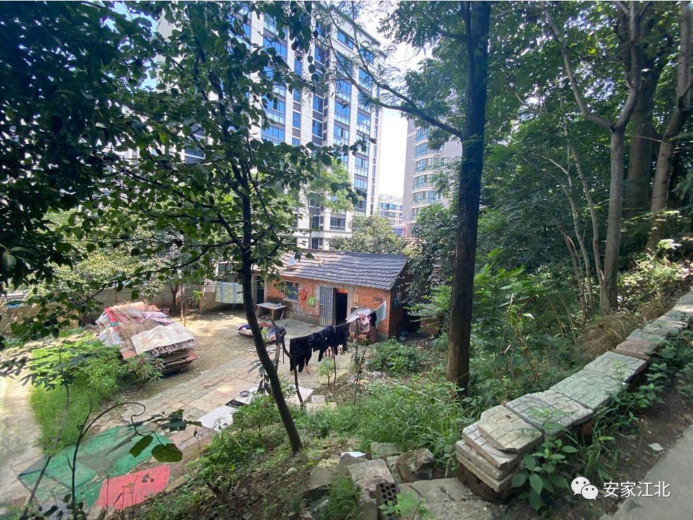 南京安置房排名前十,南京低容积率富人区