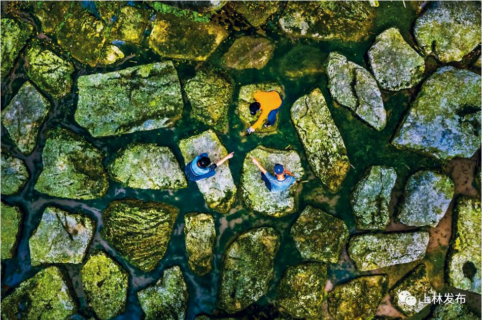 世界长寿乡之首,世界长寿之乡历史