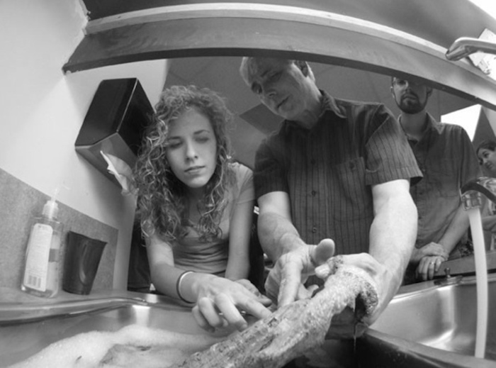 柳博赟｜牛津教授行骗记