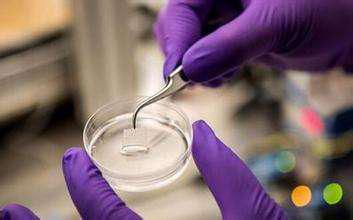 「突破」清华大学徐弢团队首次利用微型机器人+体内生物打印治疗胃创伤