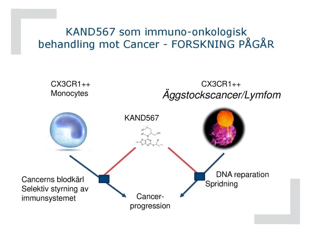 德国研制的肺炎药物,俄罗斯研制成功新冠肺炎特效药