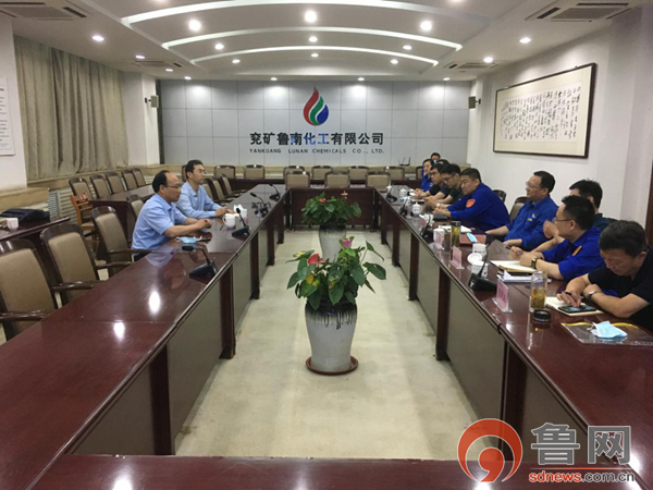 发挥党建引领作用推动乡村振兴,发挥党建引领作用助力创文