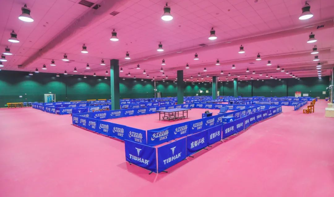 成都大运会开幕式倒计时70天,成都大运会开幕式亮点